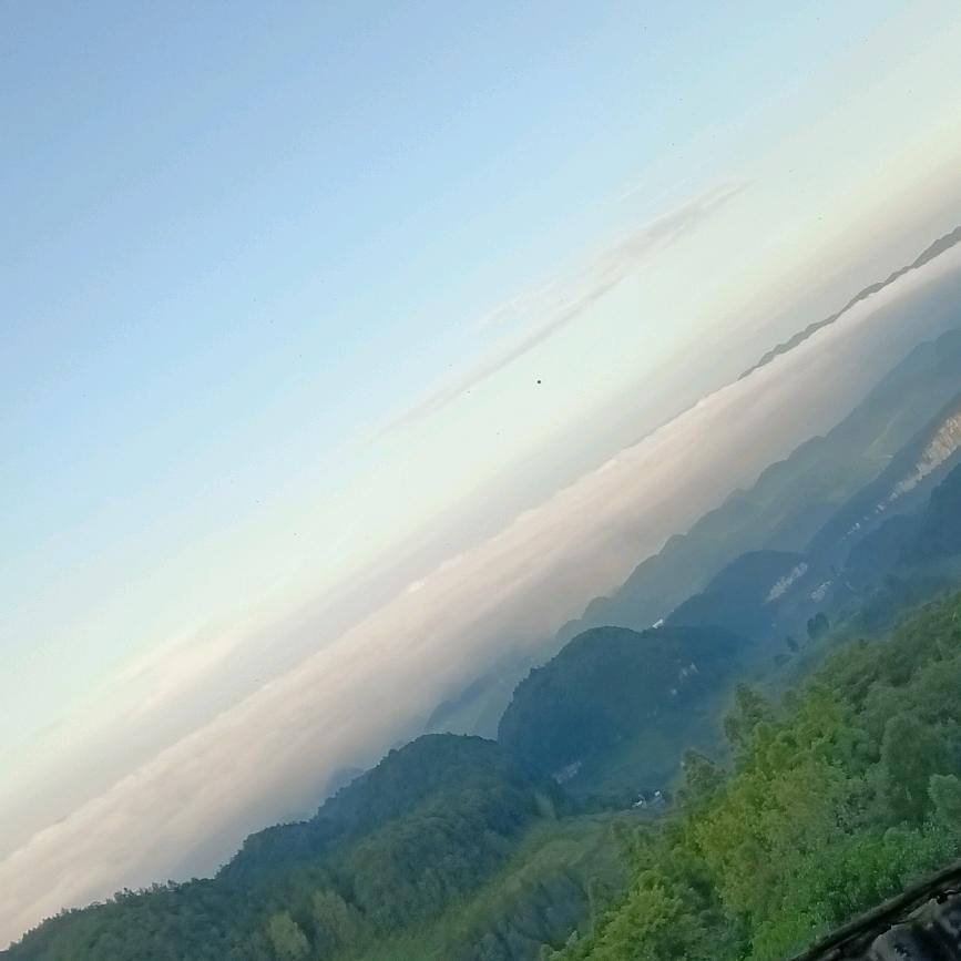 军哥