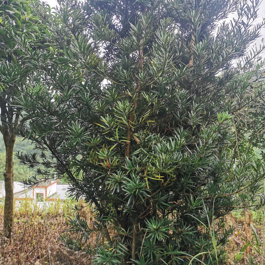 随时随地
