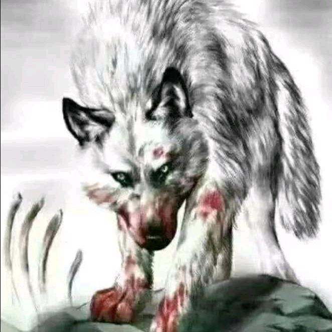 （狼族）🐺🐺