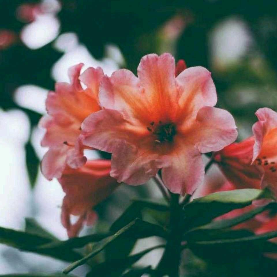 简简单单就是美