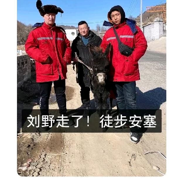 思大侠