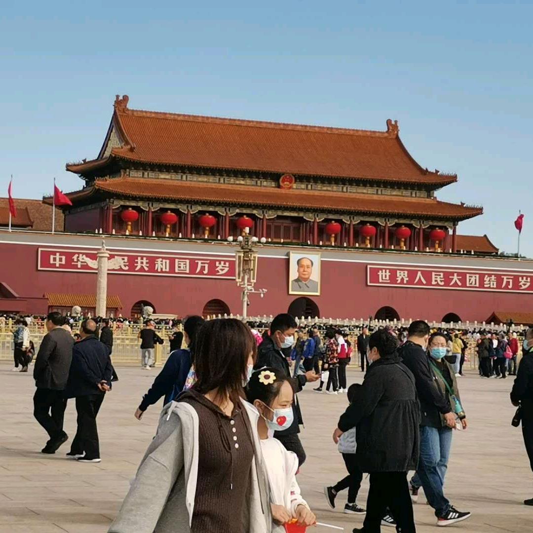 陸哥陸