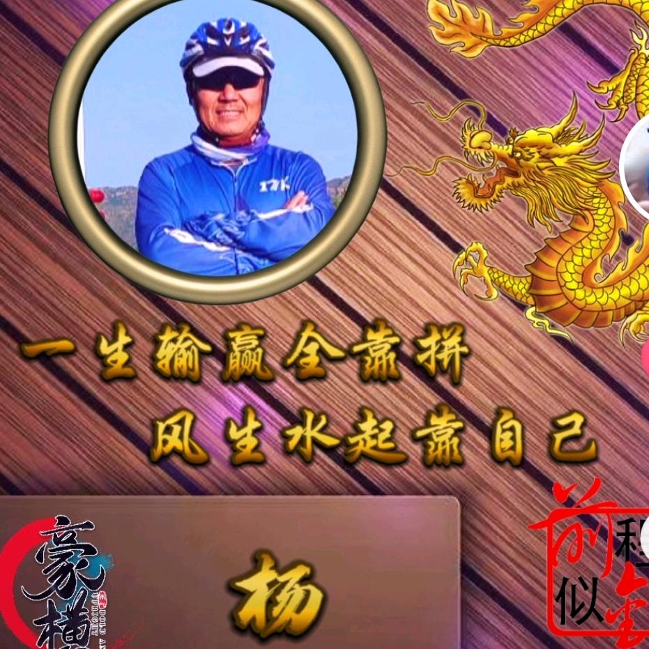 达伍德.杨