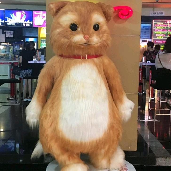 啊星汎