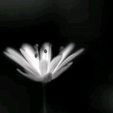 风痕*魂影