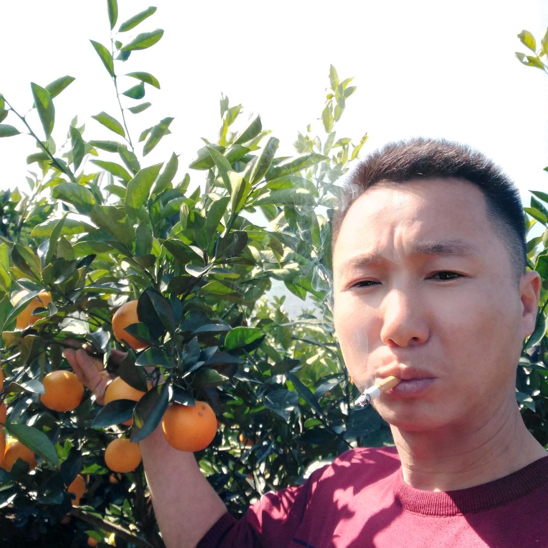 思念的玲声