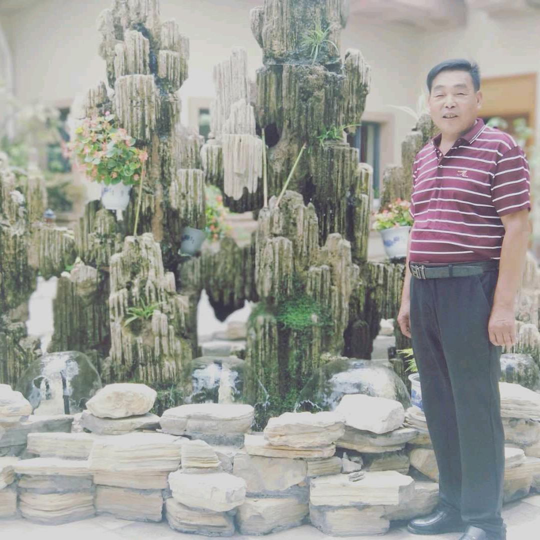 孤雁南飞，