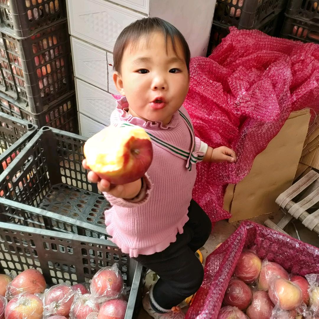 樊哲农产品销售店