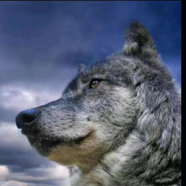 🕊꧔ꦿ℘惊⸙এ᭄蛰꧔ꦿ℘⸙