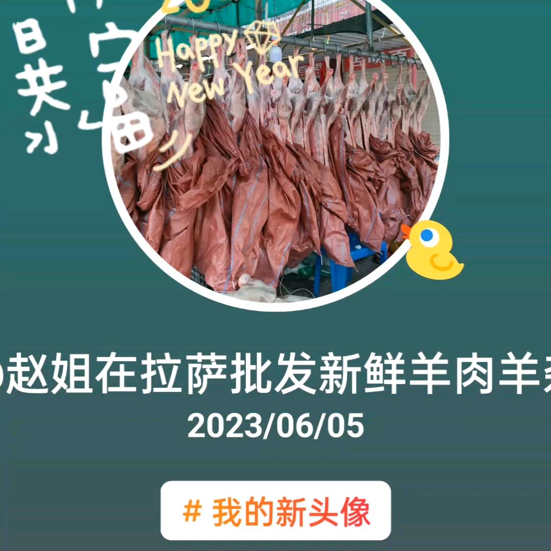赵姐在拉萨做牛羊肉批发