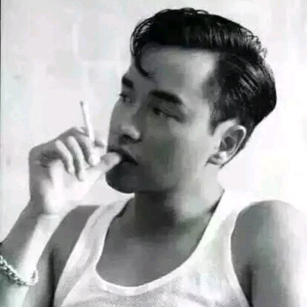 松下风情