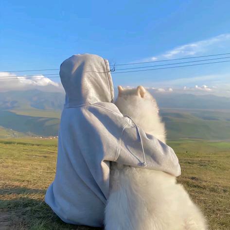 向阳而生