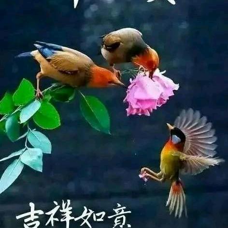 人生旅途一头像