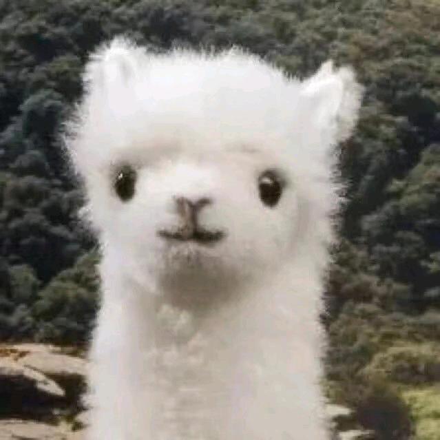 亦歆然