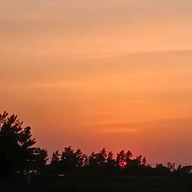 枣阳市技工学校陈老师