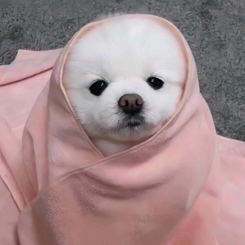 娇小娇