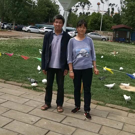 无菱刺猬