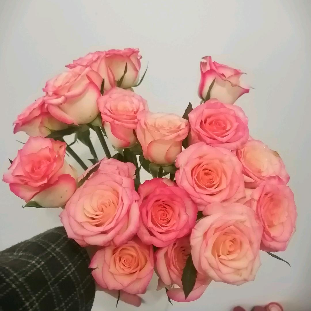 清零