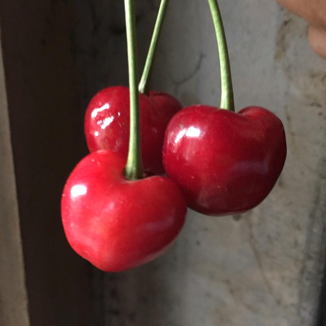 @🍒安🌾好🍒