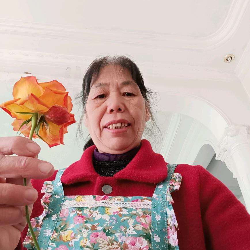 杨妹（睌上7点多开播）