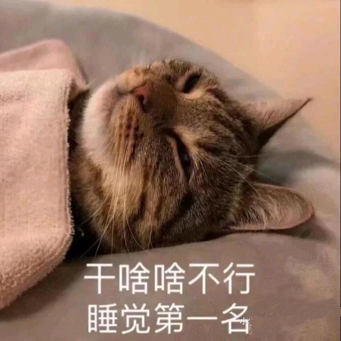早点睡！