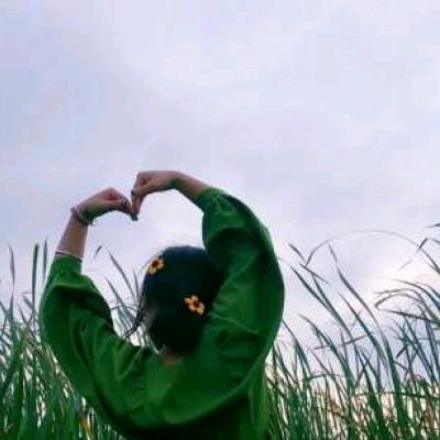 小黄不爱吃鱼头