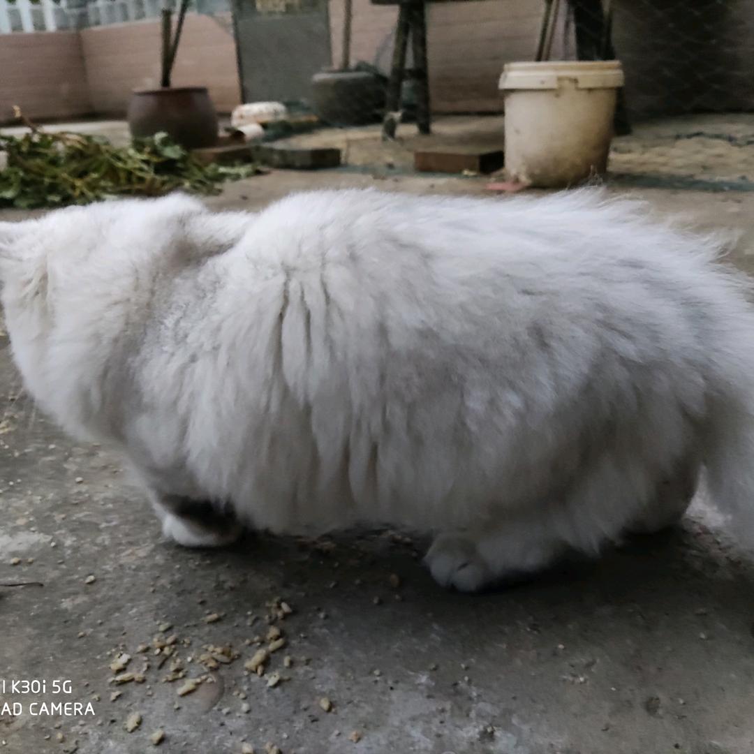 上善若水