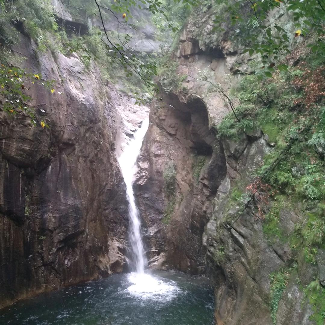 麒麟一哥