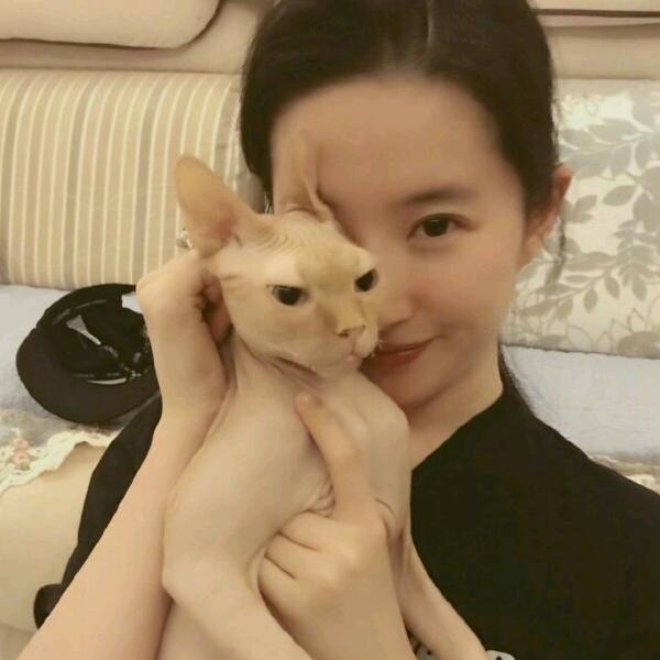 白卷