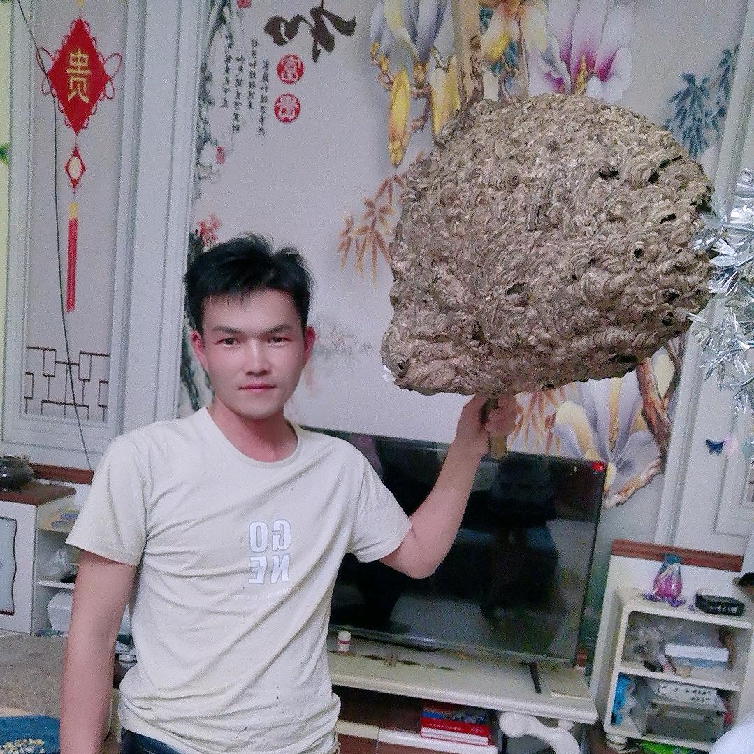 滇源胡蜂养直蜂业，黄跃米2023