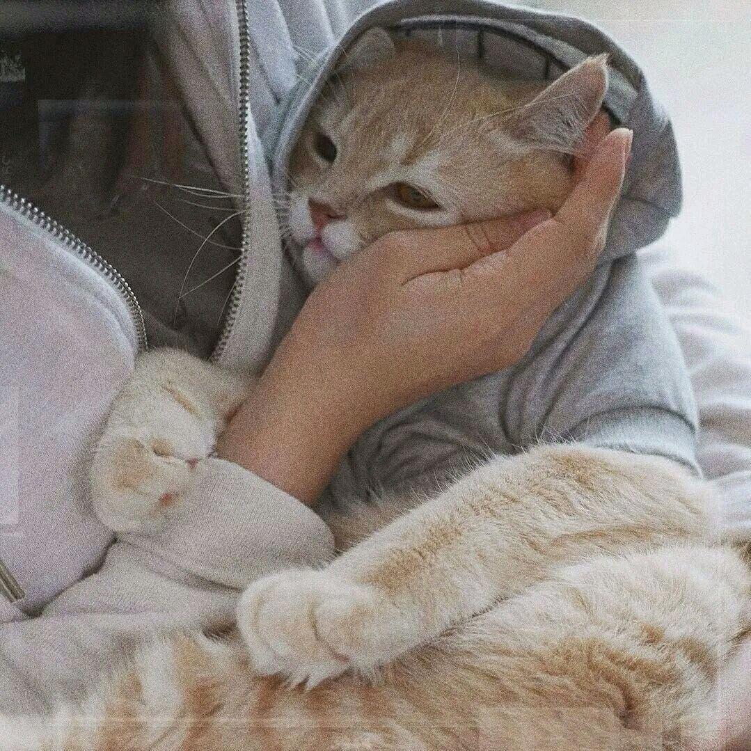 不糟糕