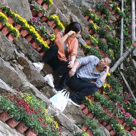 @蓝莲花莱茏山庄   180566106