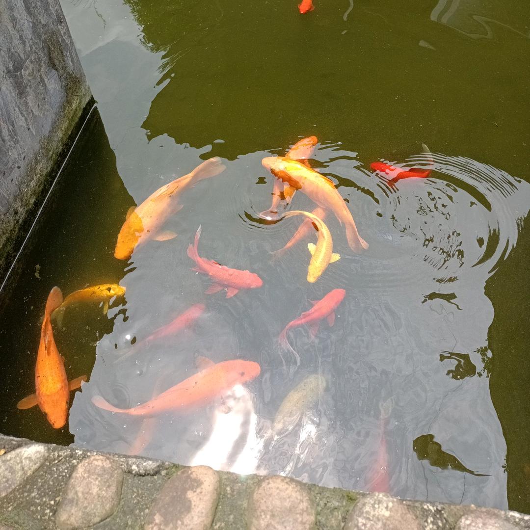 做卫生阿姨可以联系我