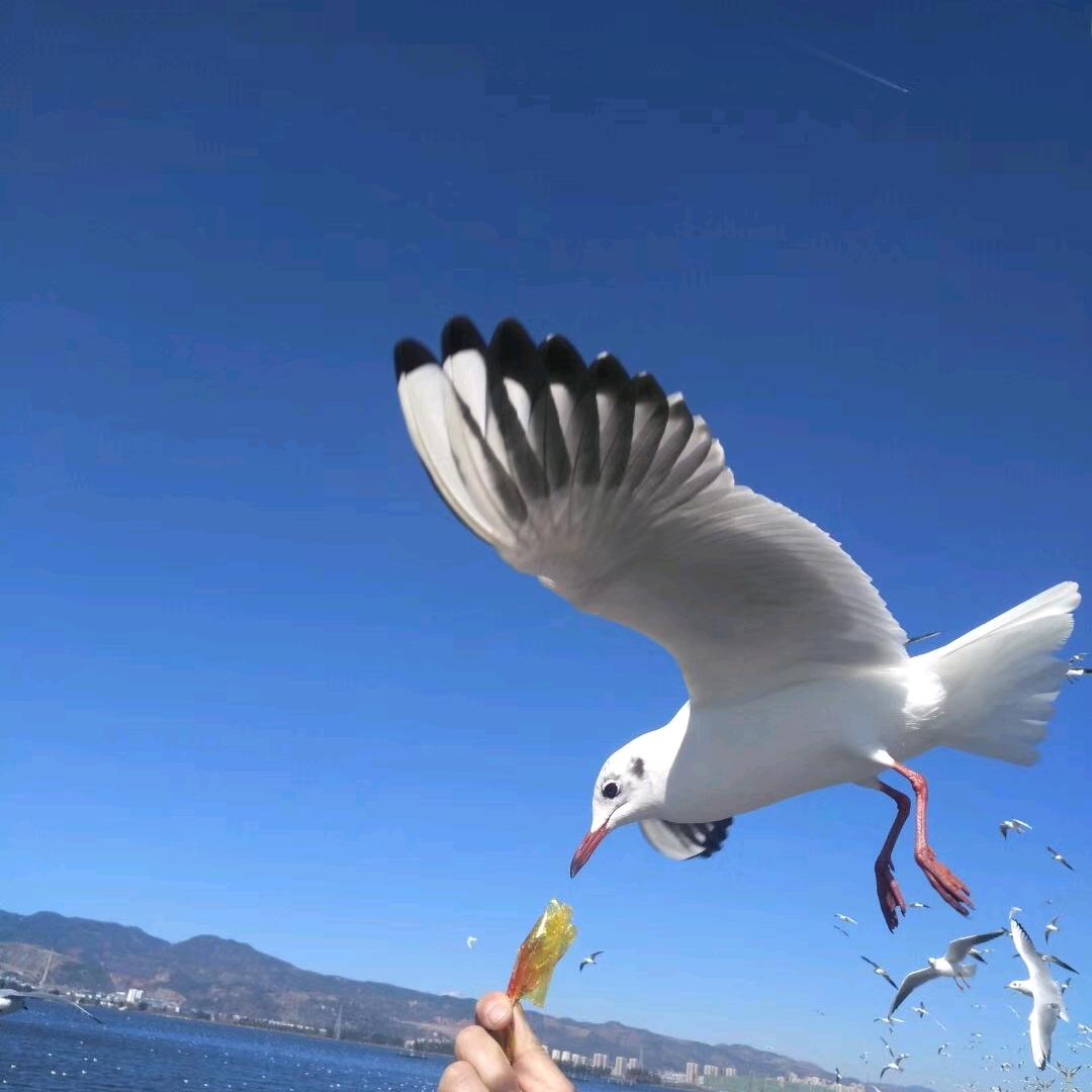 小丽