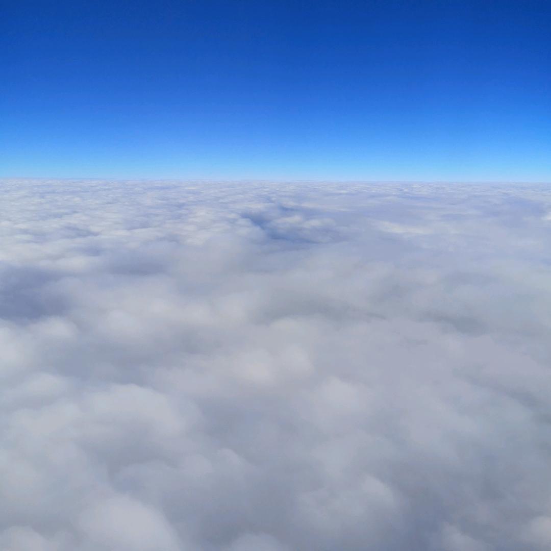 哎呀妈呀脑瓜疼