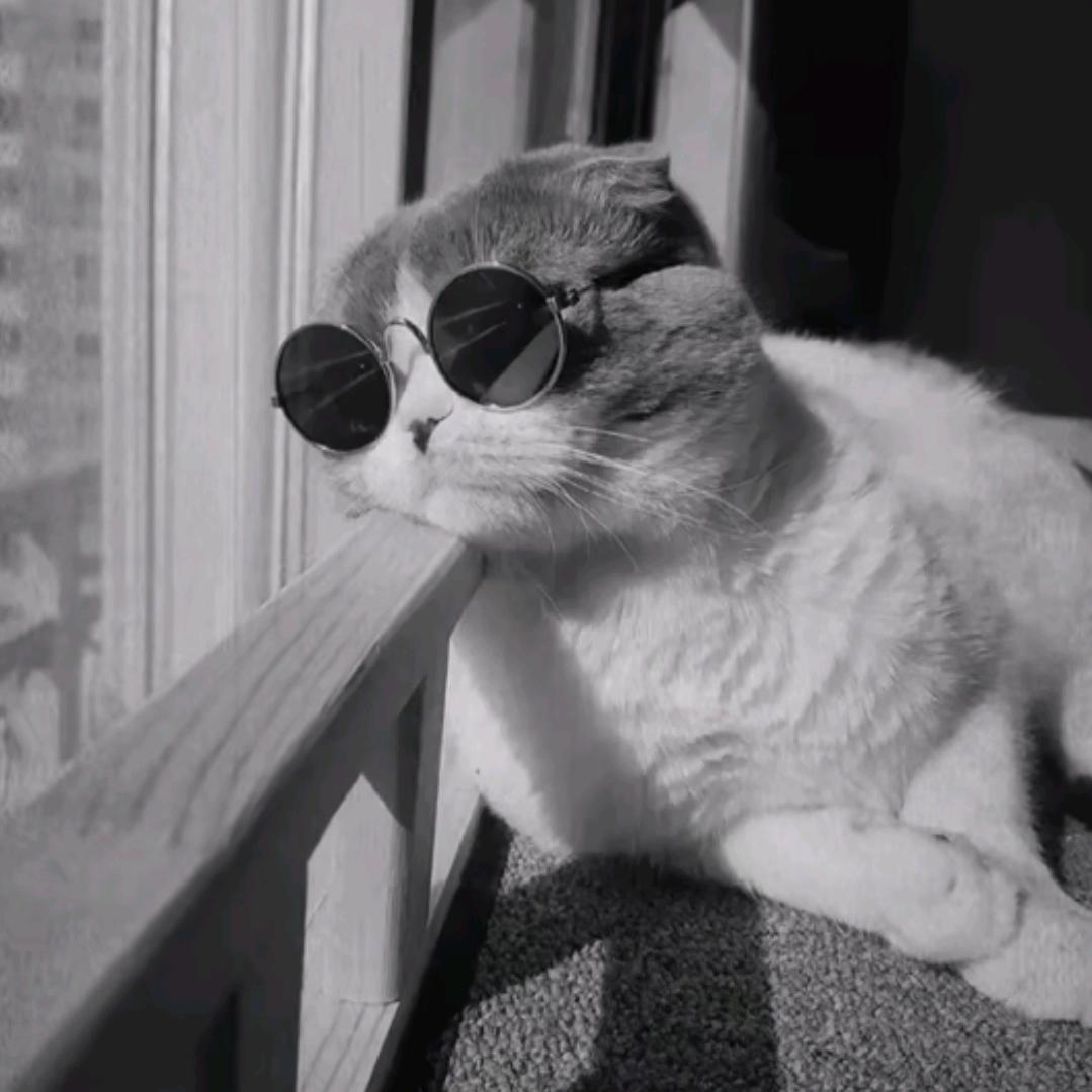 ㅤㅤㅤㅤㅤㅤㅤㅤㅤㅤㅤㅤㅤㅤㅤㅤㅤㅤ