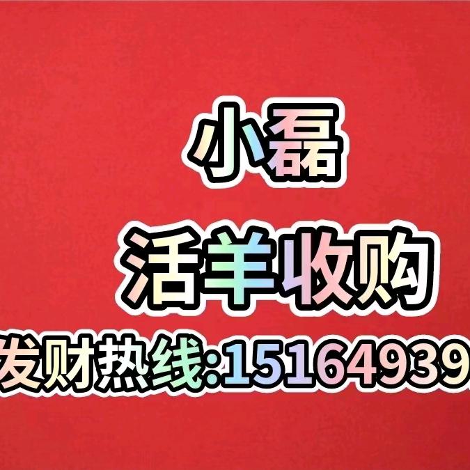 开鲁小磊