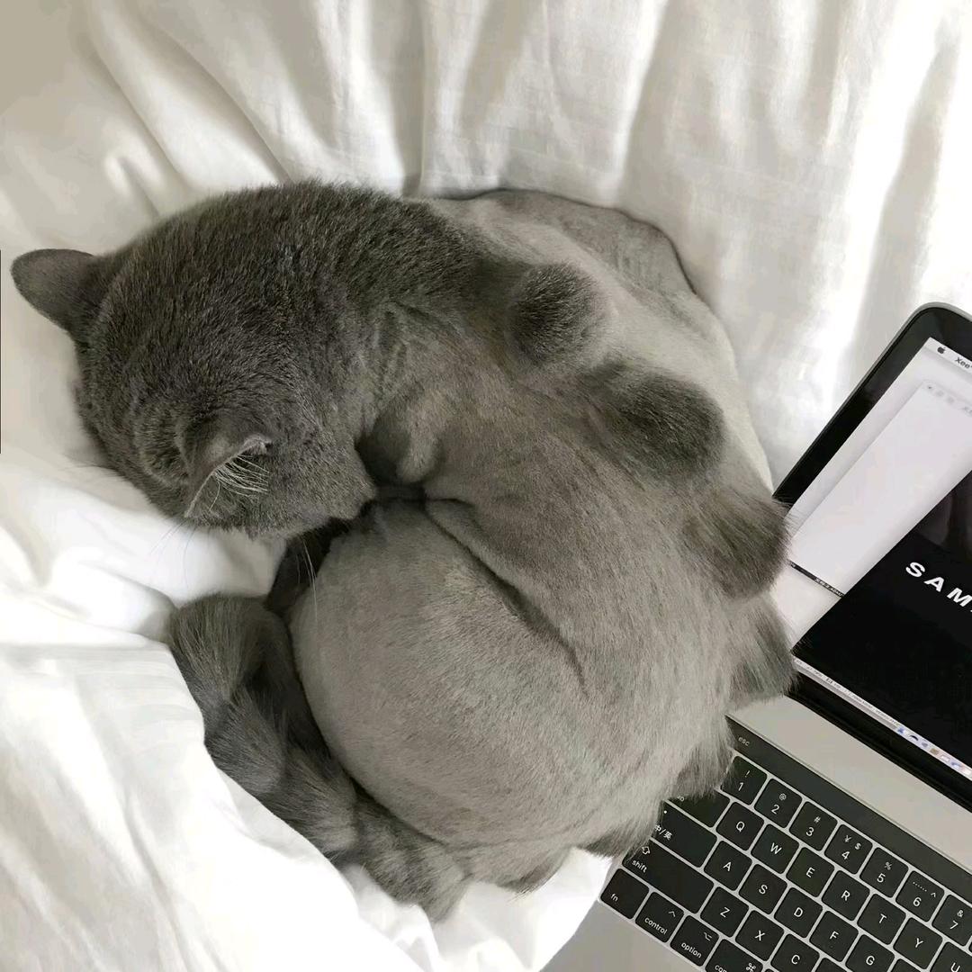 下次下次一定