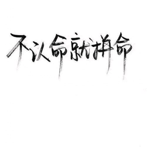 踏雪