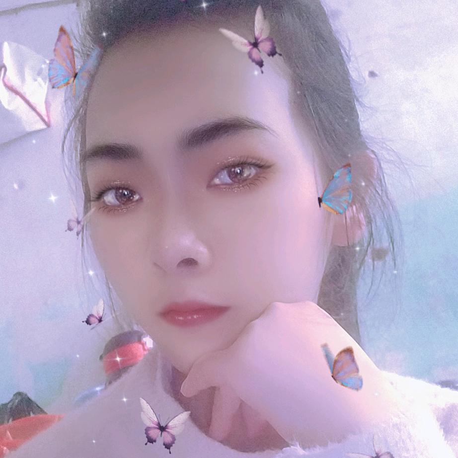 文凤