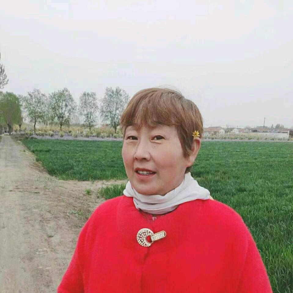 我怀念的*