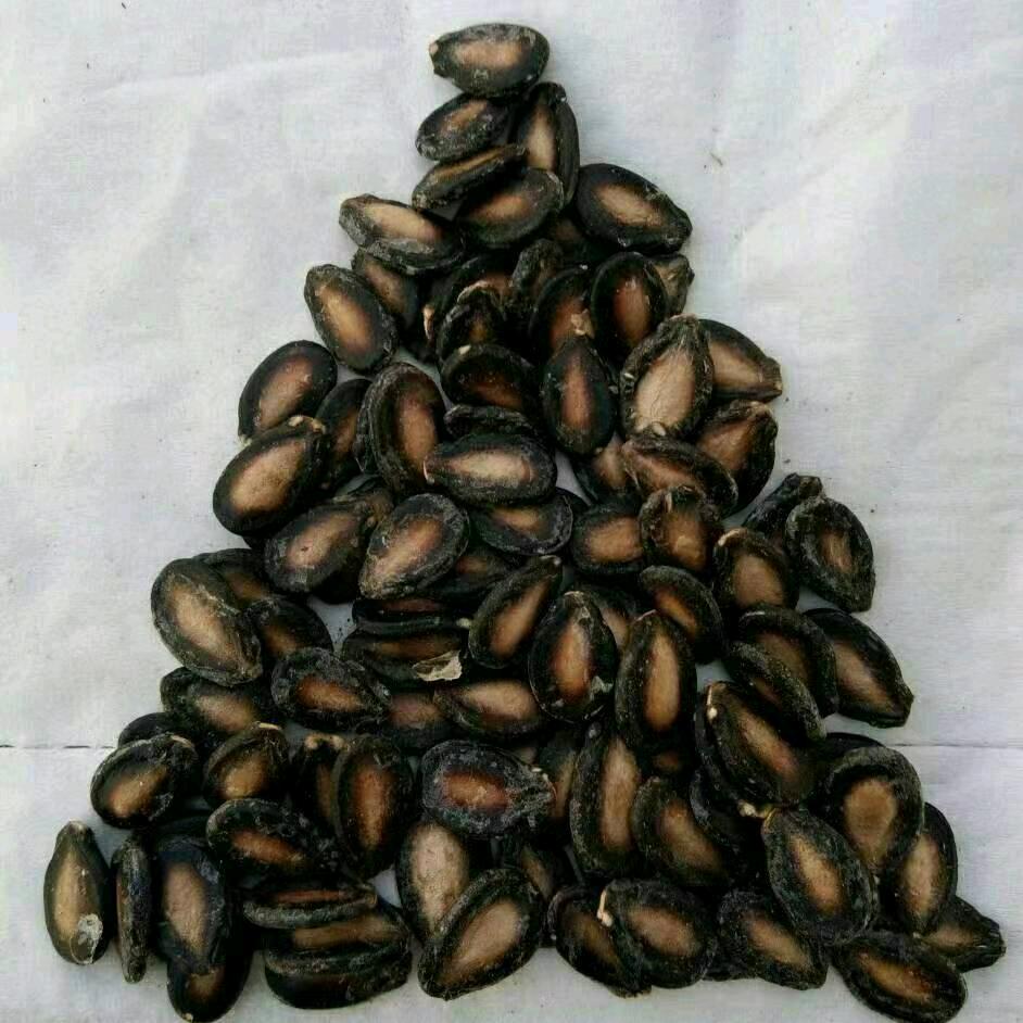 华籍商人www.山棱