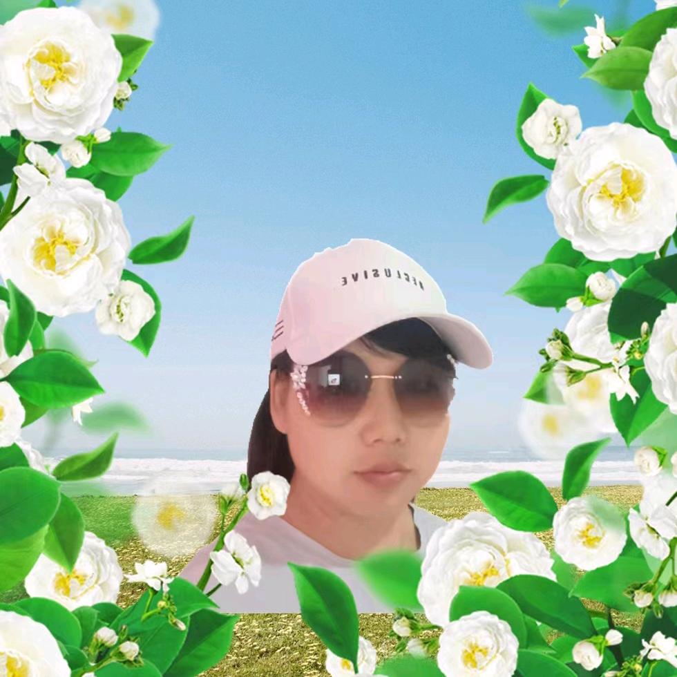 真心真意