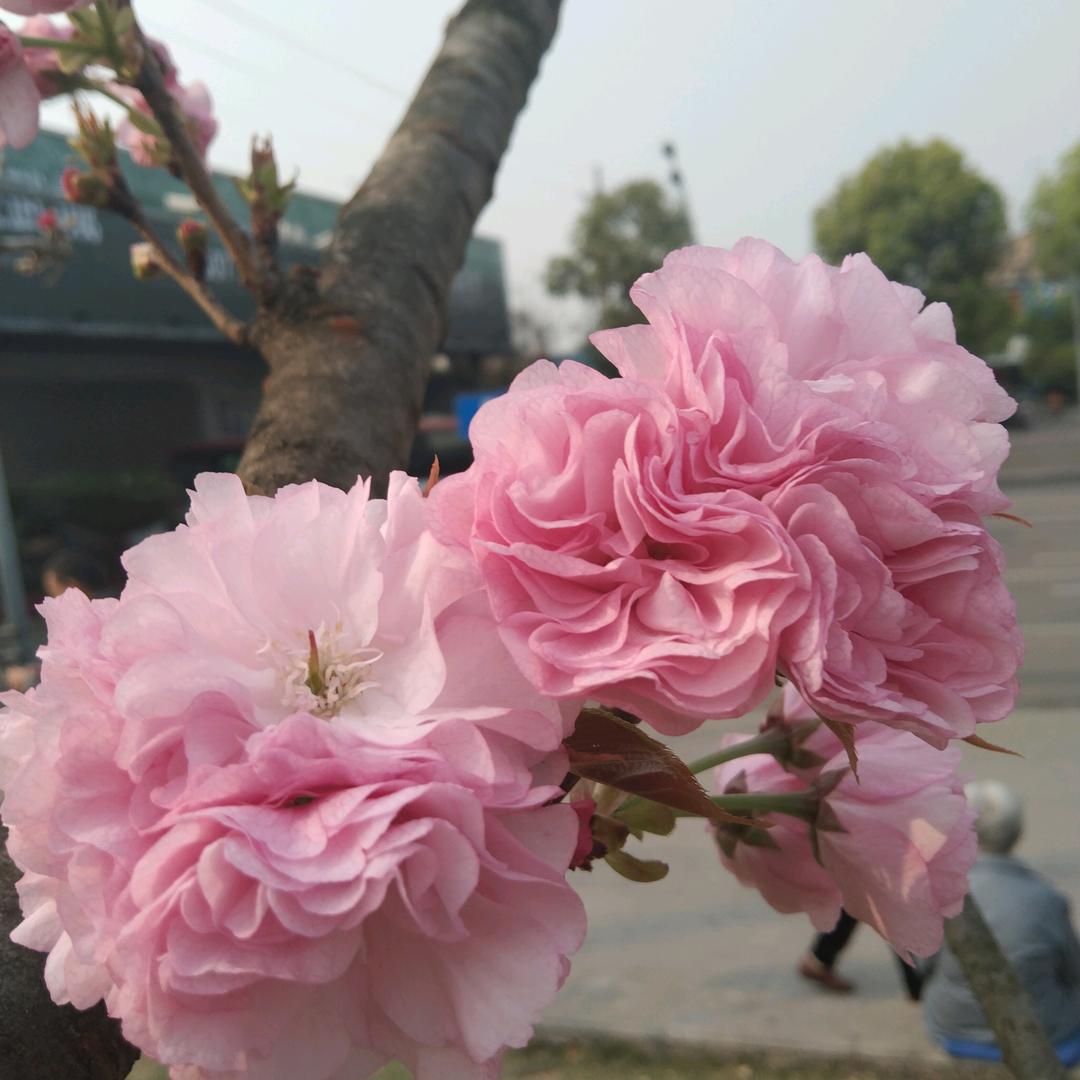 开心过每一天