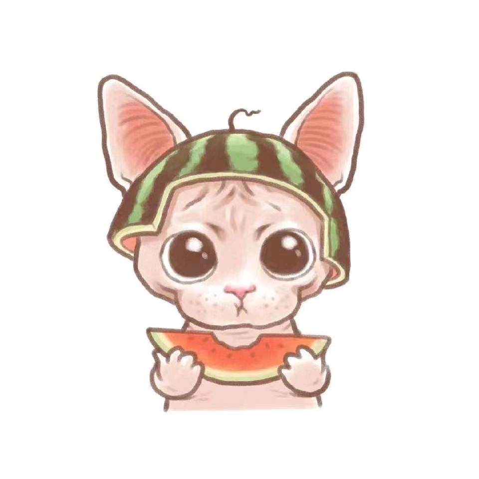 无毛猫多多