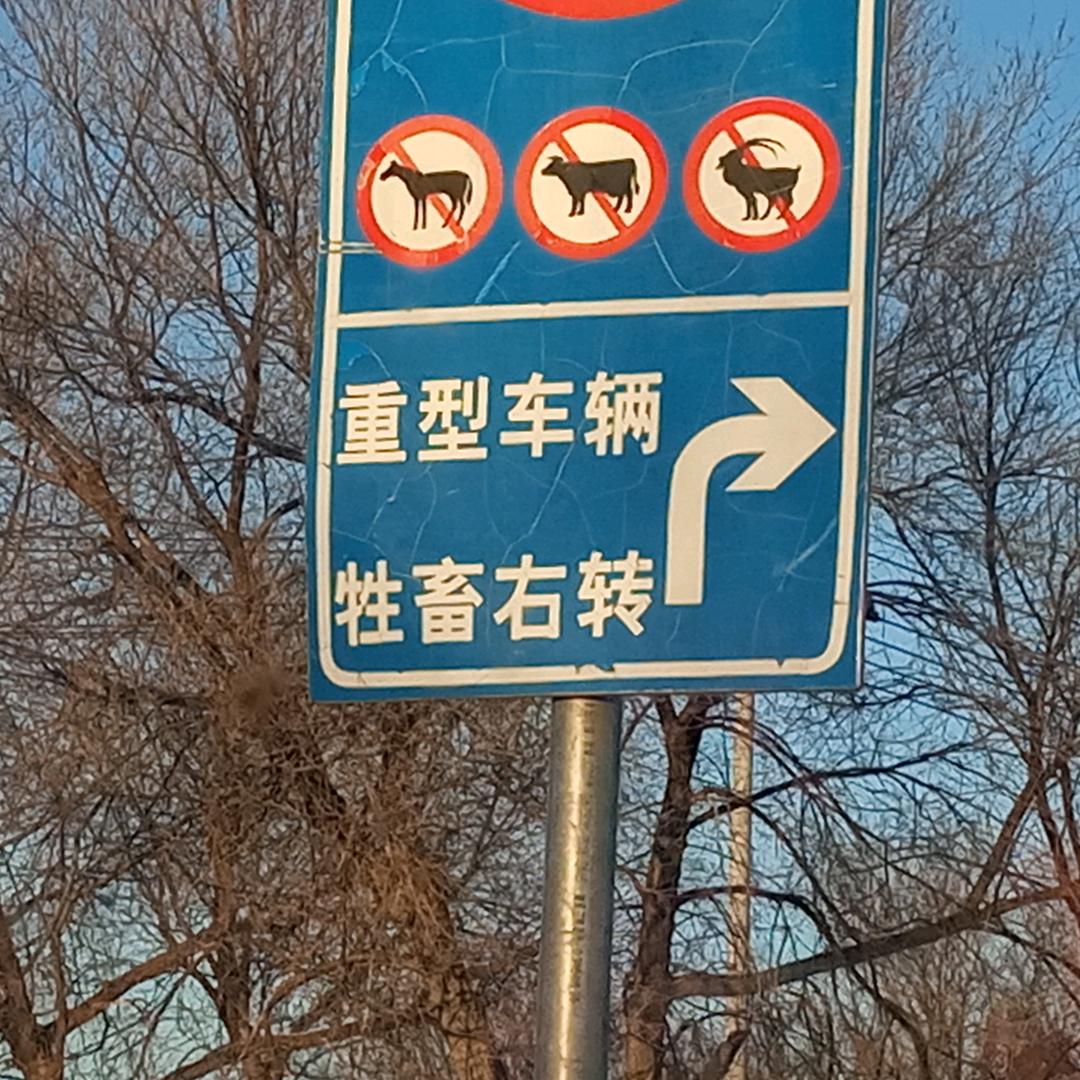 都夸我的摩托大