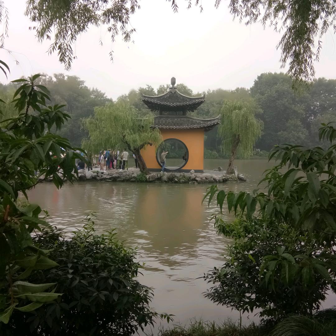 绿叶