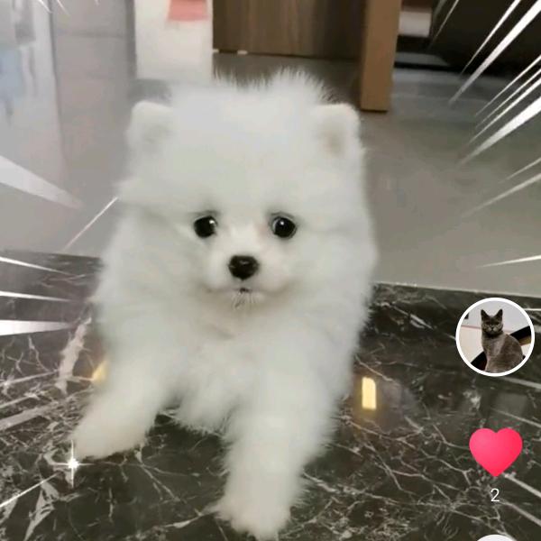 阳光☀️