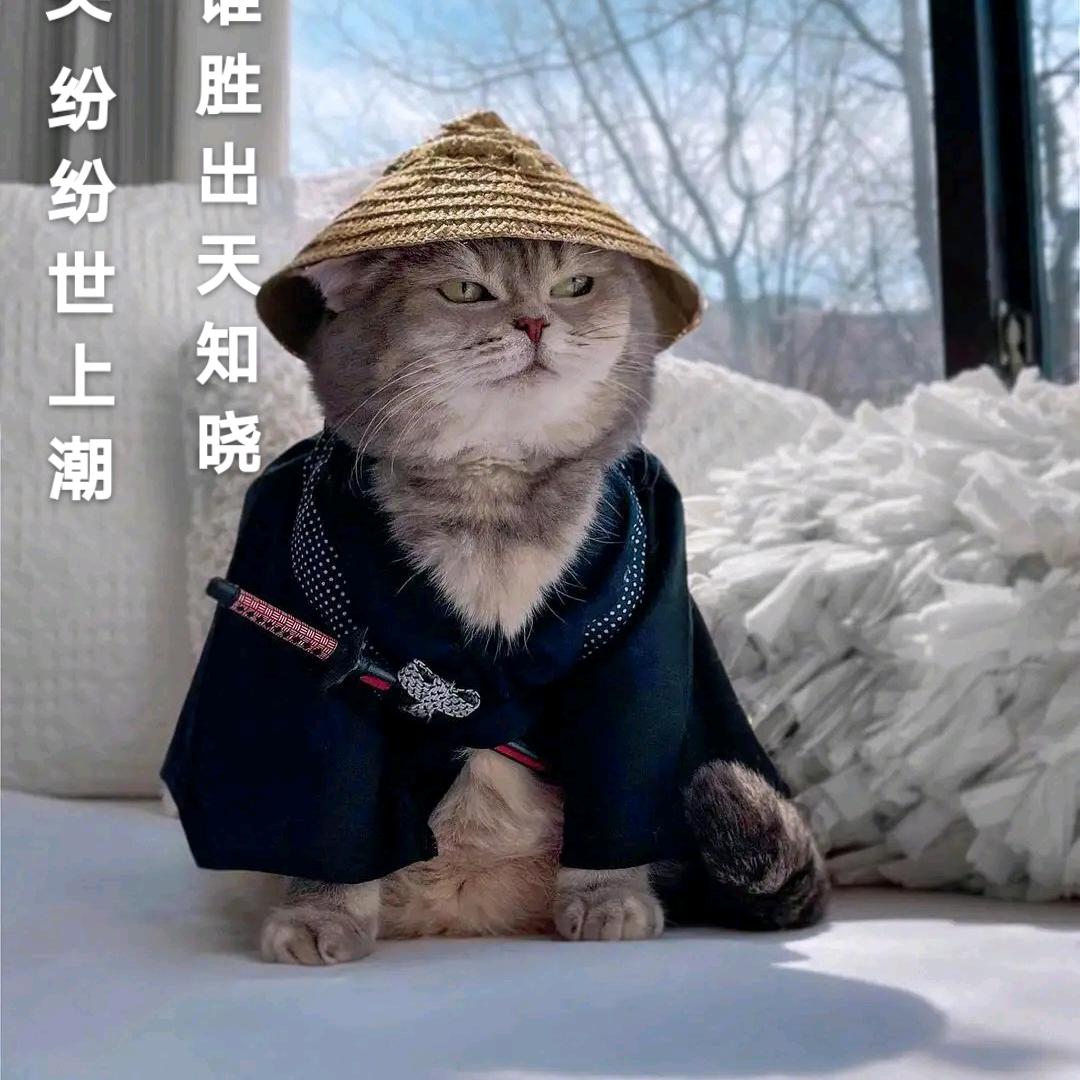 无我心调柔