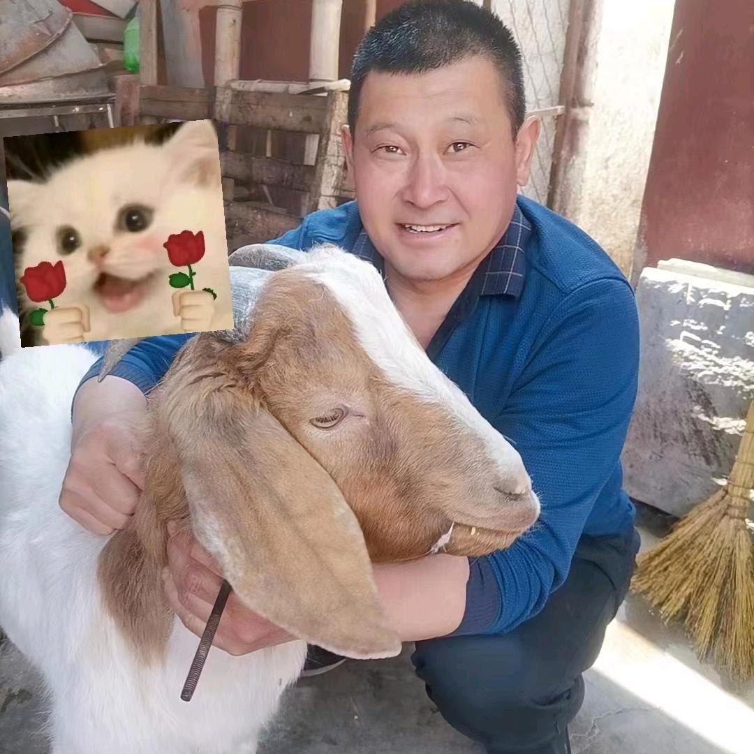 回族～老马